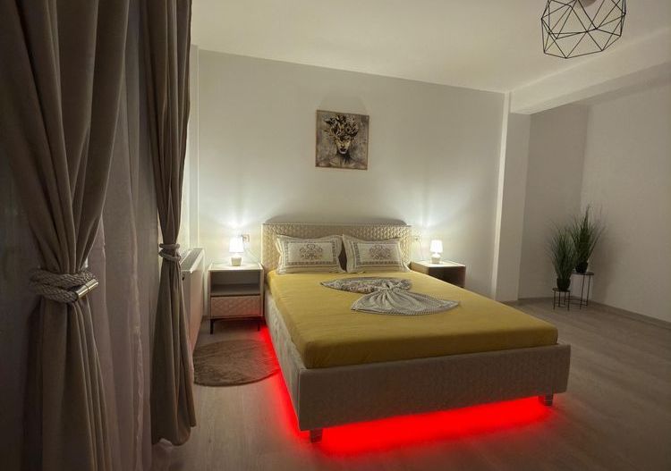 Garsoniera de inchiriat zona Damila Ford - Poză 2