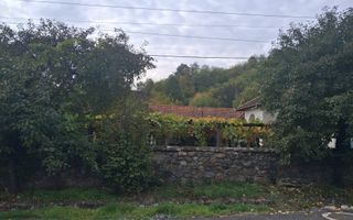 Casă tradițională cu teren generos – Borosteni, Peștișani, jud. Gorj - Poză 4
