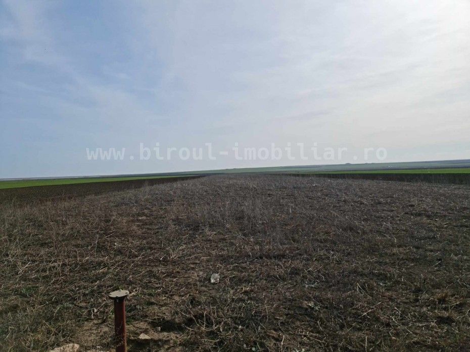 Vânzare teren agricol comasat direct la Soseaua  Istria - Sinoe - Poză 6