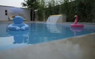 Vila cu piscina Lacul Lebăda Pantelimon I c-ctie 2025 - Poză 7