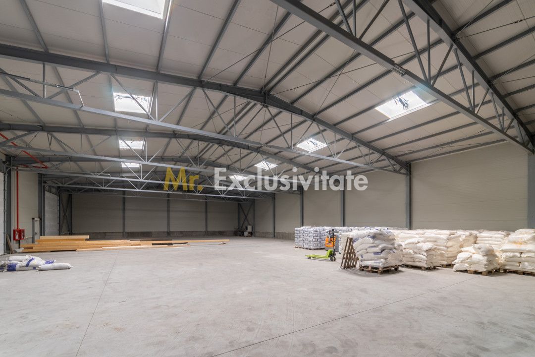 Inchiriere hala noua zona Bascov la DN 7C - Poză 6