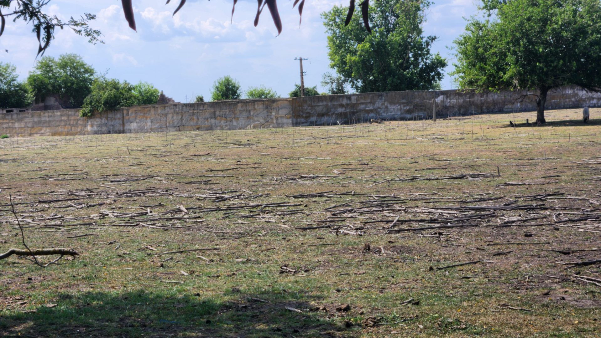 Teren intravilan -Jimbolia zona Kikindei - Poză 24