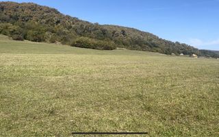 Teren Extravilan | 7.500 Mp | Sacadate - Poză 1