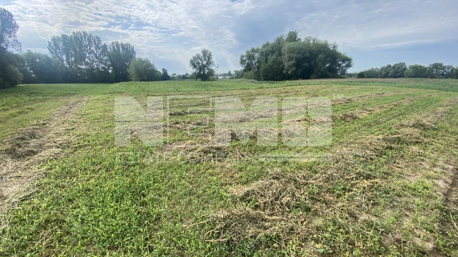 Teren Extravilan | 23 Ari | Satu Mare - Poză 2