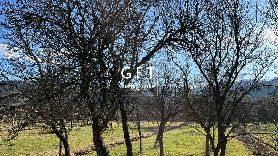 Teren Parcelabil Bistrita Bargaului - Poză 3