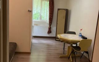 Garsoniera, 21mp, etaj intermediar, zona Dambul Rotund - Poză 1