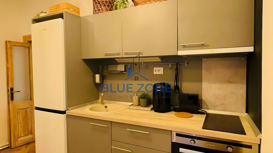 Cișmigiu | 2 camere în vilă | 50 mp | Centrală proprie - Poză 4