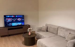 2 camere open space, Parcare, Pet Friendly, Leroy Merlin, Intre Lacuri - Poză 4