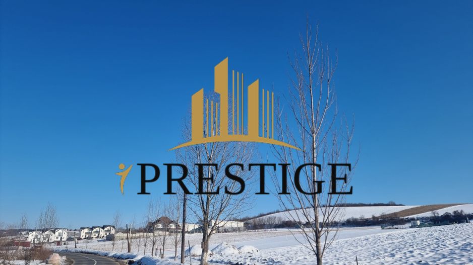 FĂRĂ COMISION | TEREN 6695 MP ÎN ȘURA MARE - Poză 4