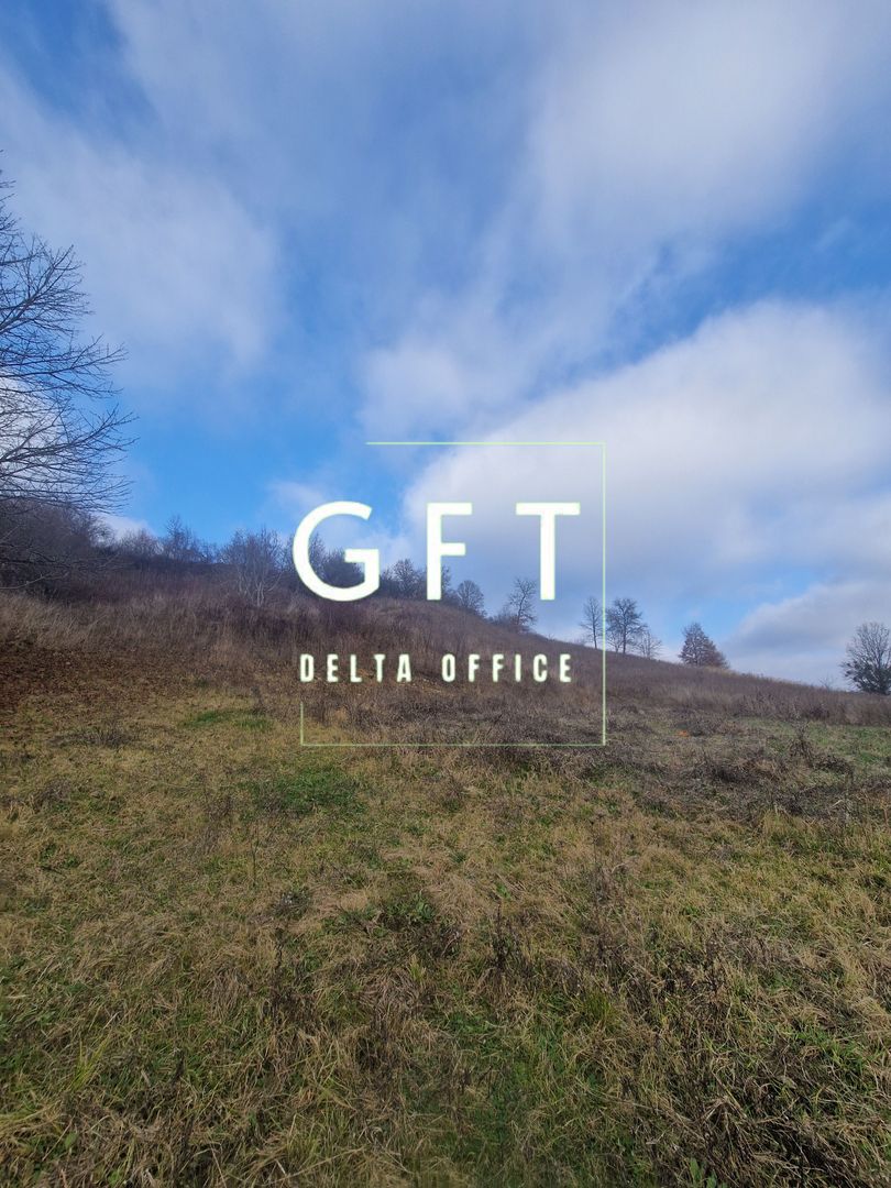 Teren intravilan | Livezile - Poză 5