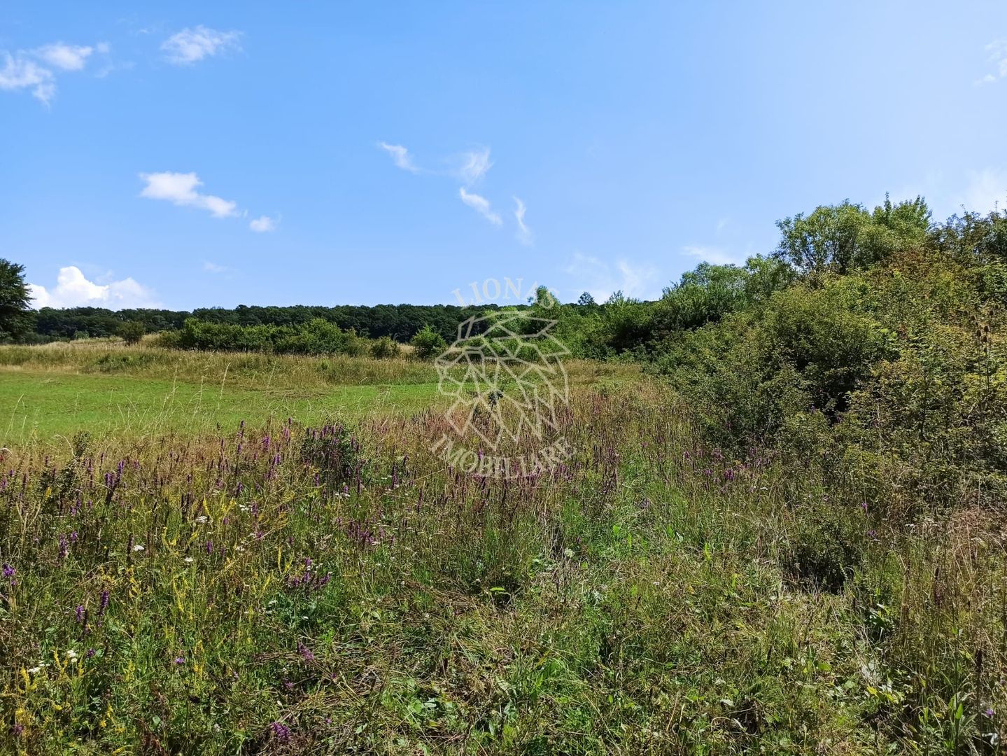 Parcele teren 4038 mp - Parcelabil - Zona Valea Stanelor - Poză 4
