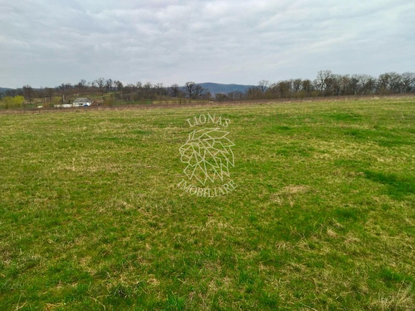 4 Loturi diferite-ideal cabane/investitii-Beclean 1 km de Baile Figa - Poză 4