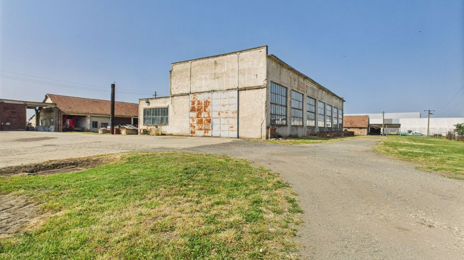 Complex industrial cu hale și teren  în Orțișoara - Poză 20