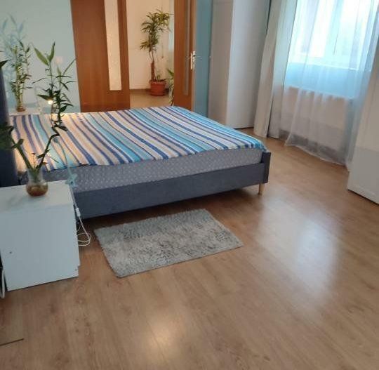 Proprietar, vand vila individuala Siseşti, singur in curte - Poză 4