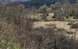 Teren Intravilan I 4000 mp I Zona Turistica Porumbacu de sus - Poză 5