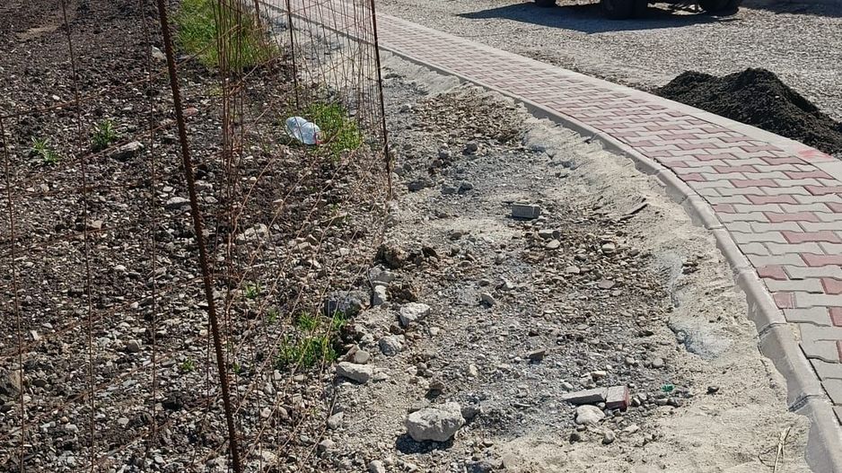 Bragadiru Penny Plevnei - Poză 1