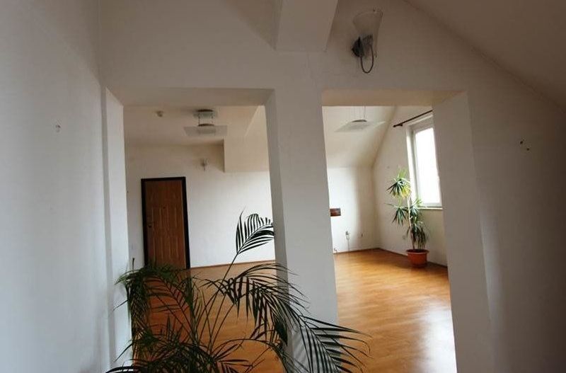 Vila spatioasa pentru birouri in zona centrala - Poză 8