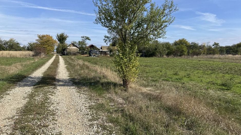 Teren intravilan 3700 mp la 28 km de Pitesti  - zona linistita - Poză 4