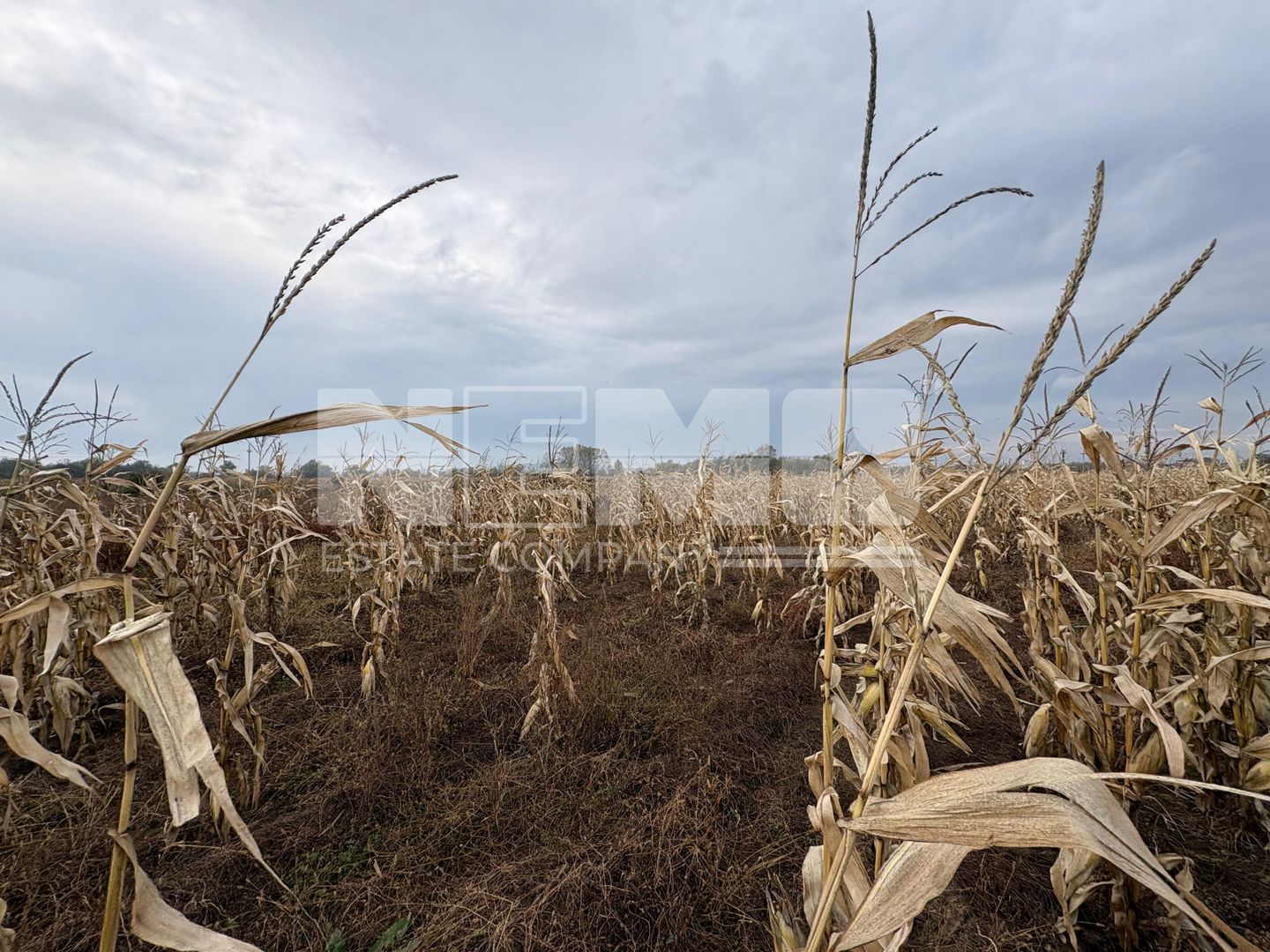 Teren de vânzare | 52 ari | intravilan | Zonă liniștită | Rădăuți - Poză 9