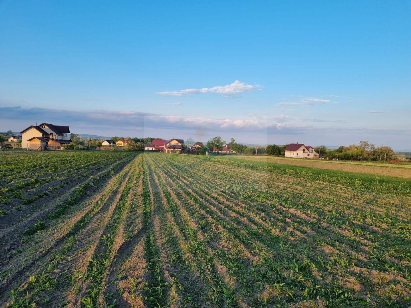 Teren intravila Ilișești - Poză 1