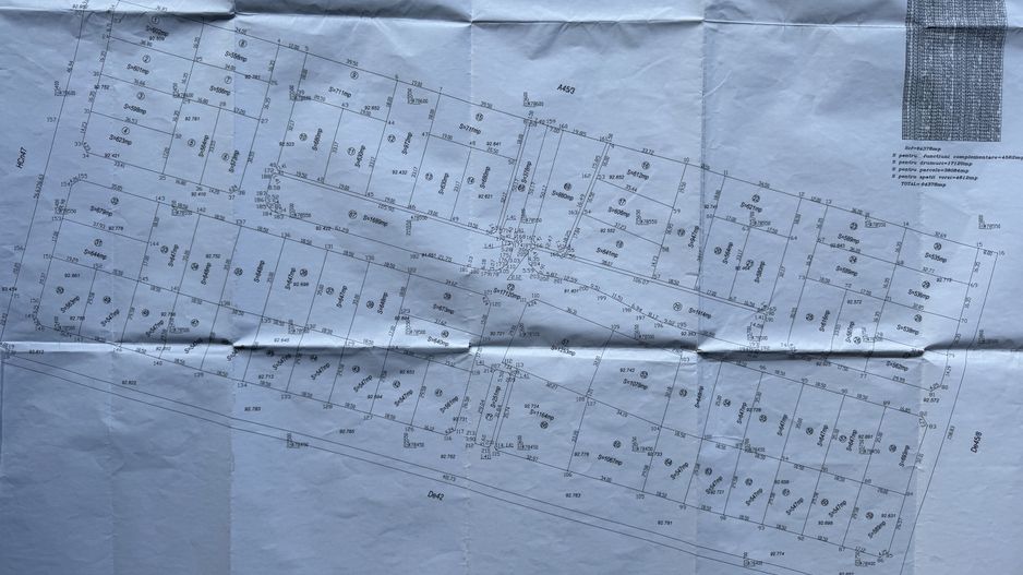 TEREN ZONA PADUREA BISTRA - Poză 5