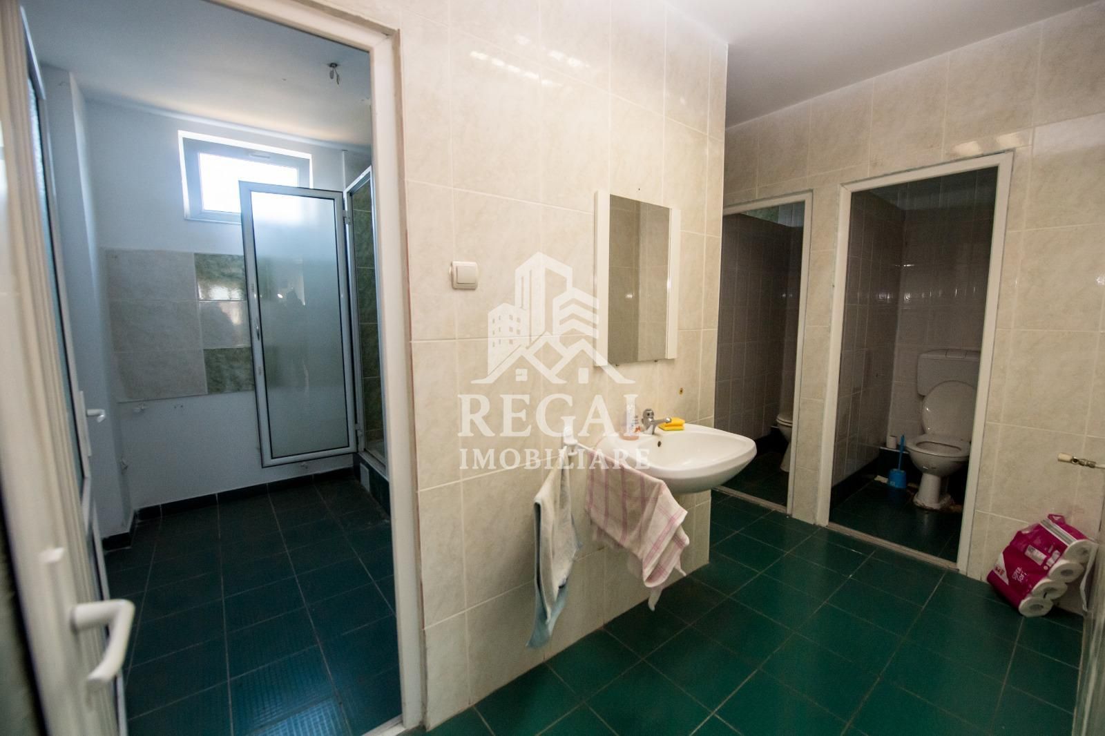 HALĂ INDUSTRIALĂ DE VÂNZARE – CRISTUR (Hunedoara – Deva) - Poză 9