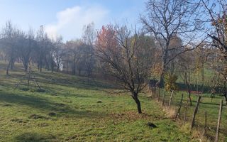 TEREN INTRAVILAN 3000 MP, CAMPULUNG - Poză 4