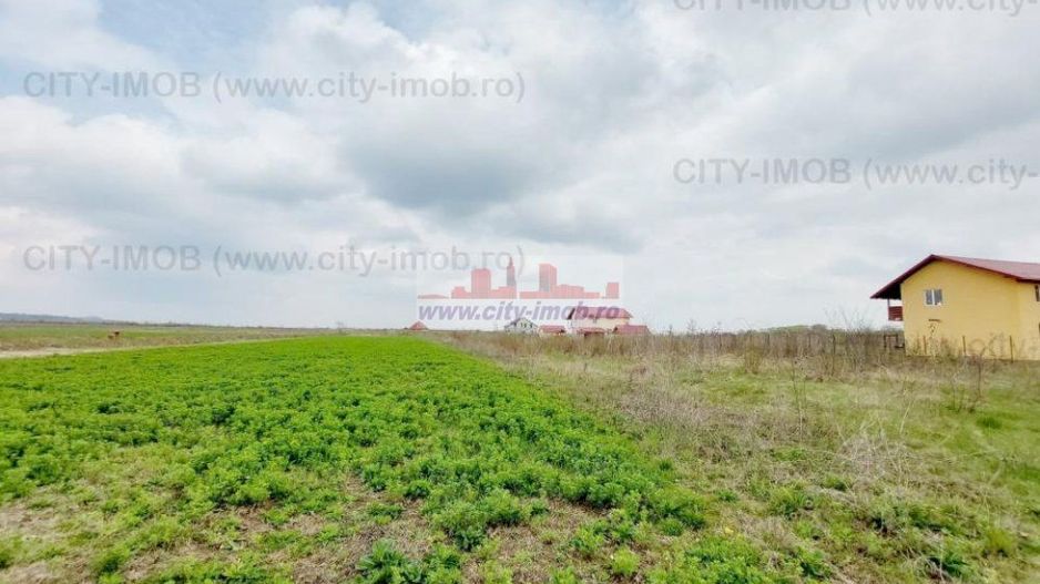 Teren de vanzare Cocani, Crevedia, langa padure Dambovita - 17 km de Bucuresti - Poză 13