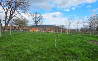 Casa individuala I Curte I Teren 1700 mp I Rosia - Poză 16