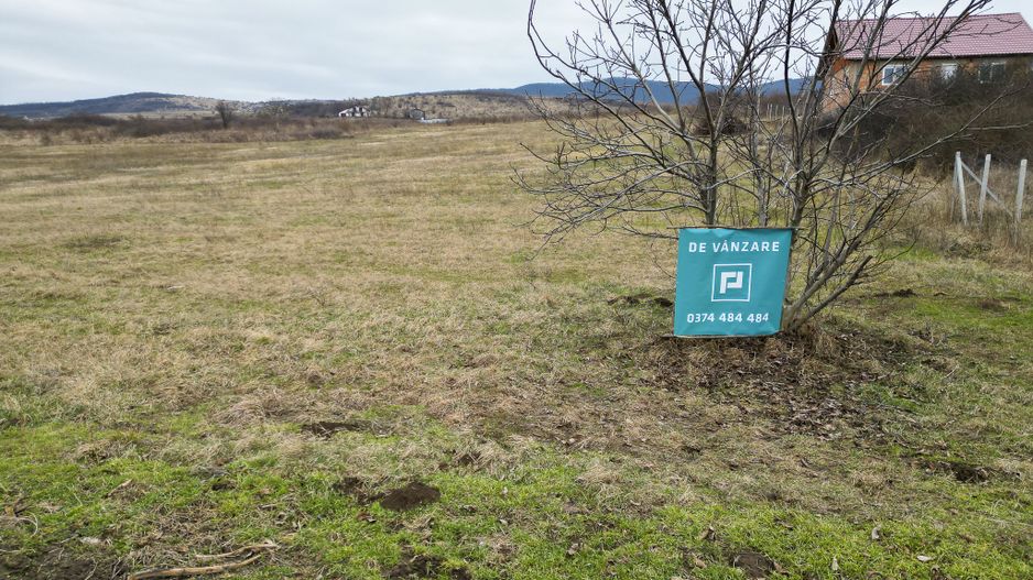 Teren intravilan între Galșa și Mâsca - Poză 10