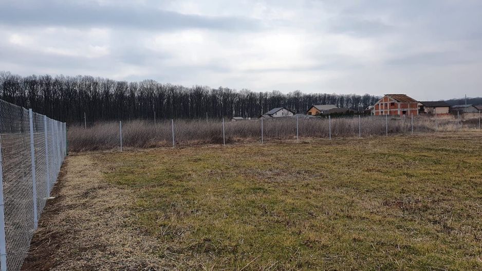 Teren 1500 mp Ghermanesti in proximitatea padurii str Nicopole - Poză 4