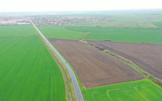 Teren industrial Dudestii Noi - Poză 3