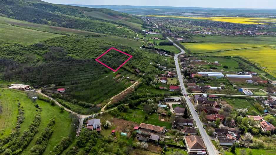 4.300 mp teren pe deal împădurit la Miniș - Poză 2