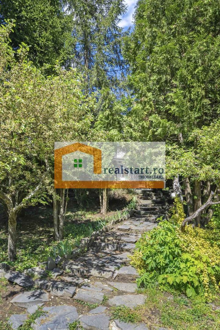 Oportunitate, Restaurant cu MiniPensiune 800mp, 1,8ha teren, Via Transilvanica - Poză 21