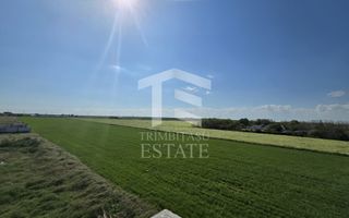 OVIDIU-POIANA- Vila tip duplex cu terasa circulabila. - Poză 35