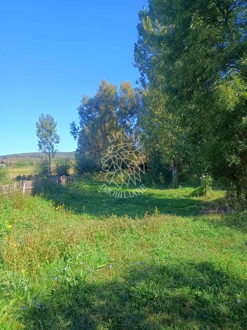 Casa la tara-teren 1521 mp+2 ha arabil-ideal casa Vacanta-Mintiu - Poză 10