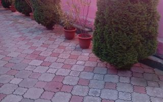 Casa individuala| 3 camere |Acces Auto| Axente Sever | Sibiu - Poză 4