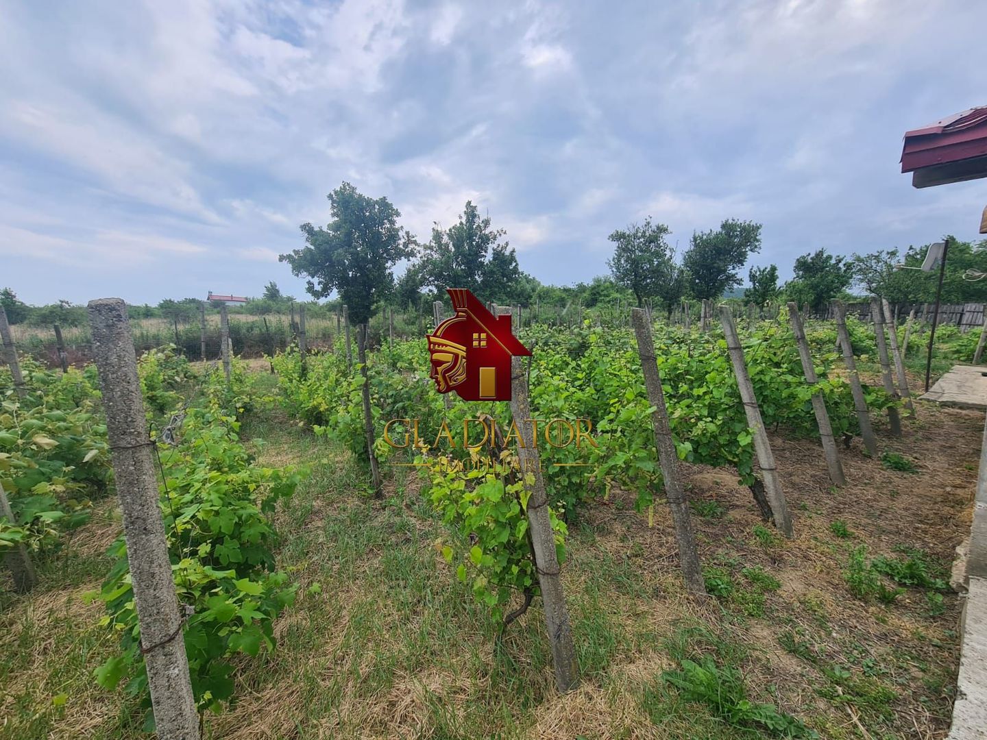 Casa + garaj + 1400 mp teren in Tomesti Goruni, zona de vis, nu rata - Poză 30