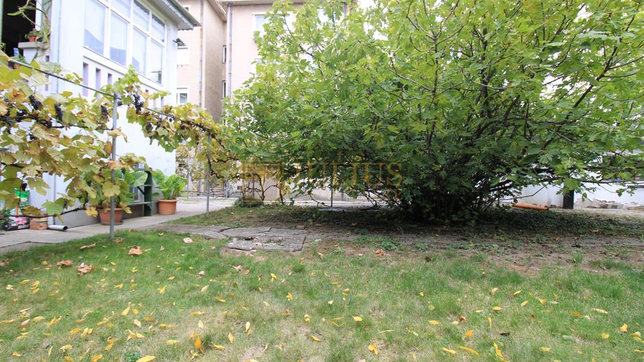 Demisol înalt, zona Universitate UVT - Liceul Ion Vidu. - Poză 2