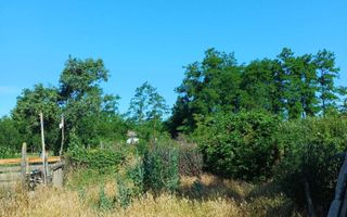 Teren 1067 mp în Grozești, județul Iași, cu utilități și anexe - Poză 4