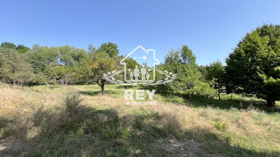 Teren de vânzare Cisnădioara - Poză 4