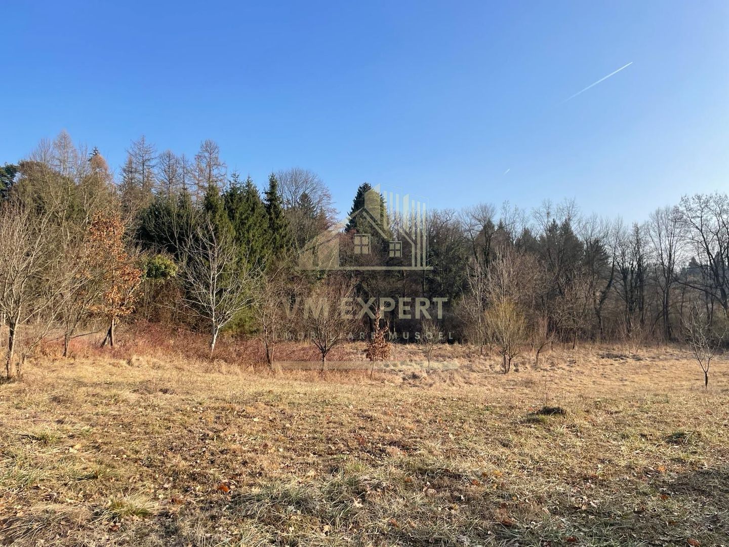 TEREN INTRAVILAN 1800 MP MIHAESTI ARGES COMISION 0 - Poză 9