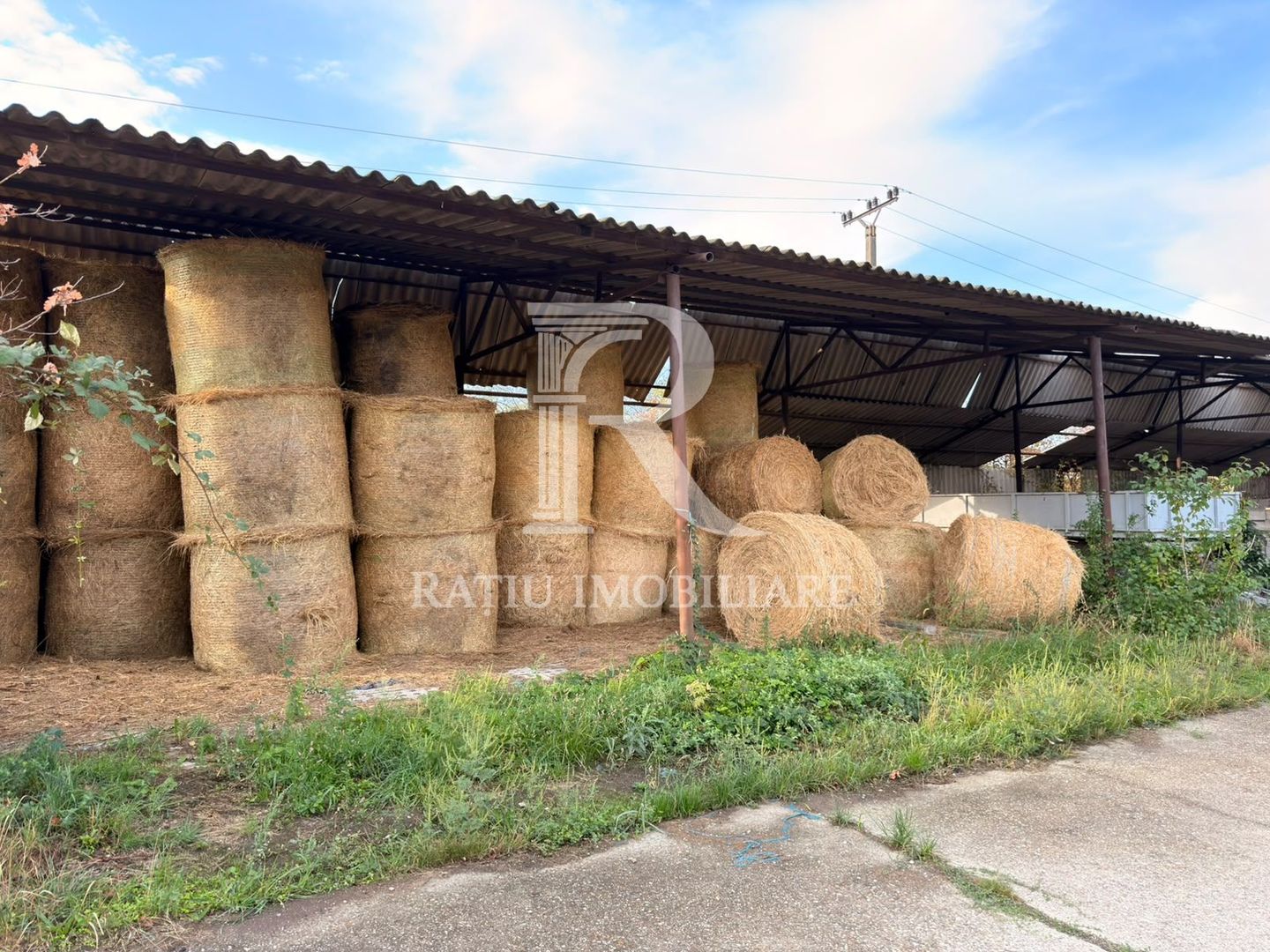 Fermă Sărand | Bihor | 25.659 mp teren intravilan - Poză 15