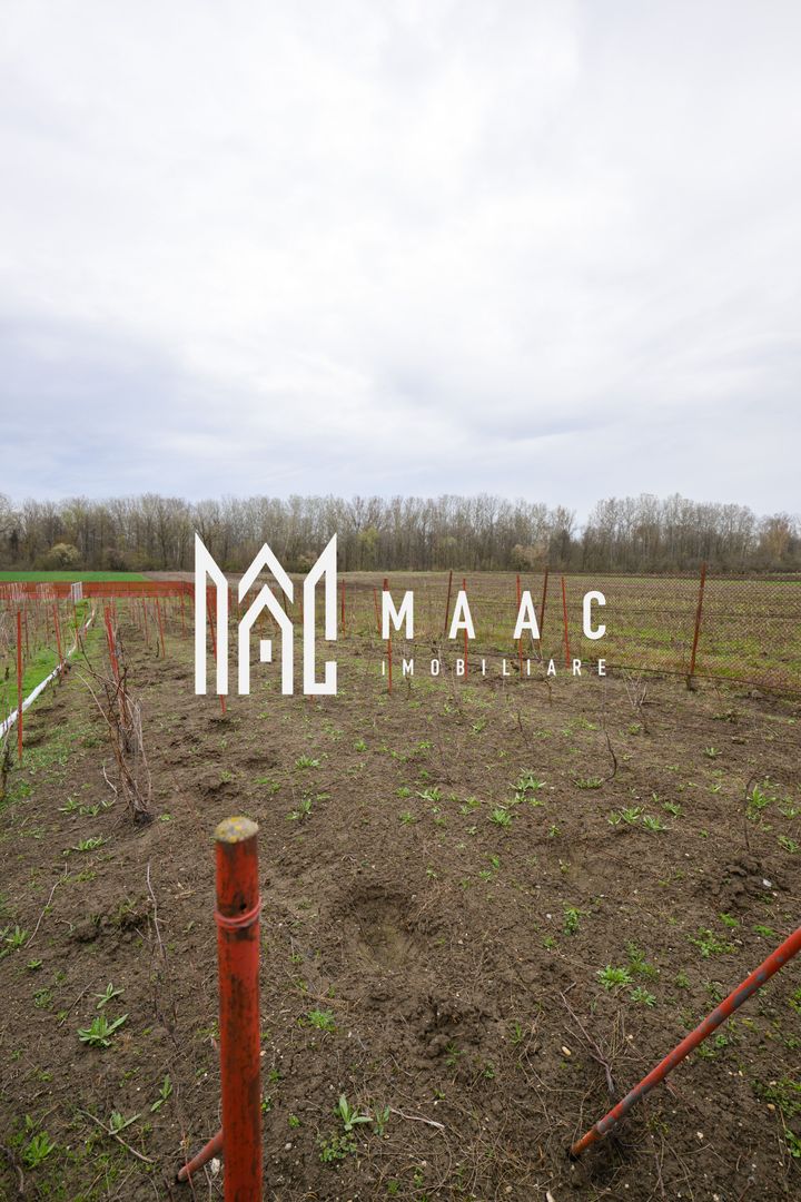 CASA DE VANZARE|  2087 MP TEREN| COMUNA FARTATESTI| - Poză 13
