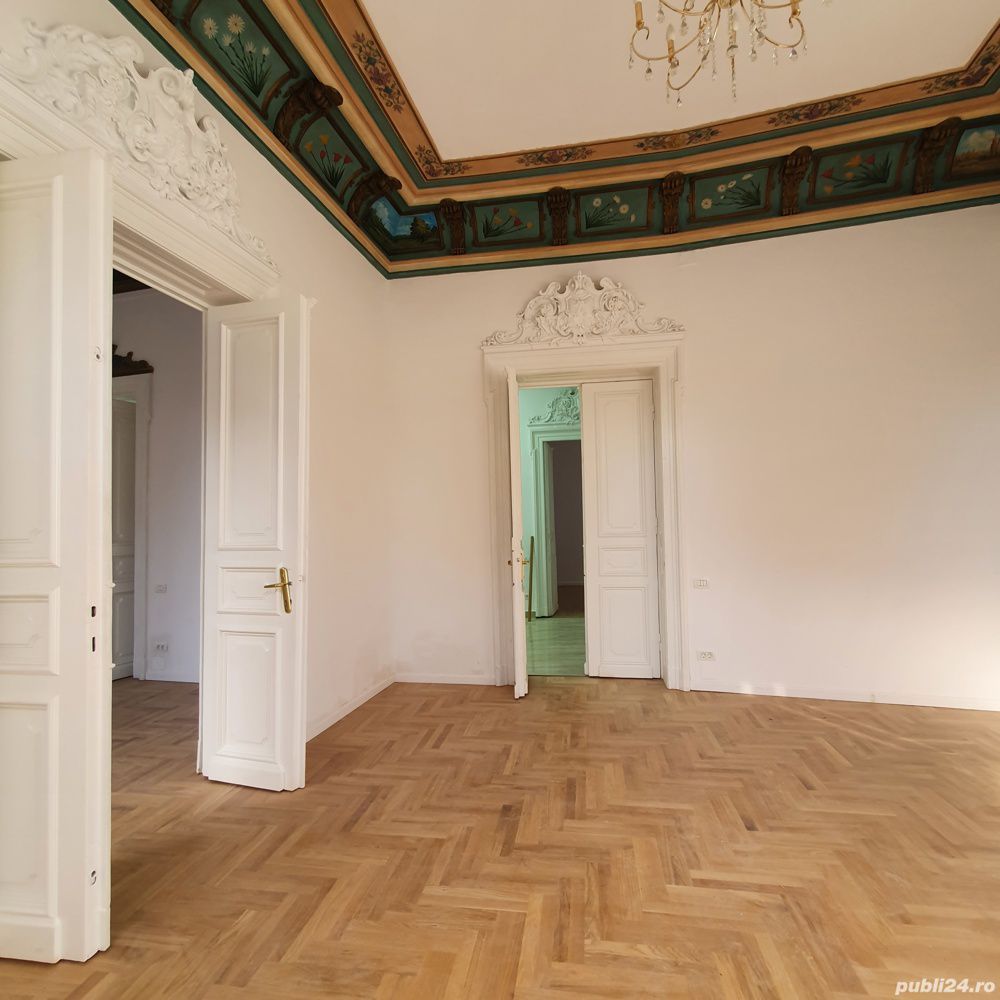 Vila Reprezentativa  8 camere Calea Mosilor - Poză 5