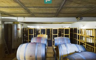 Pivnițele Birăuaș D.O.C Miniș - RATE FĂRĂ DOBÂNDĂ - Poză 19