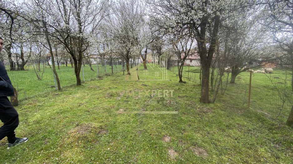 TEREN INTRAVILAN 1278 MP, VALEA MARE PRAVAT, ARGES - Poză 4