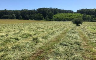 Teren arabil de 128 hectare în Cluj - Poză 4