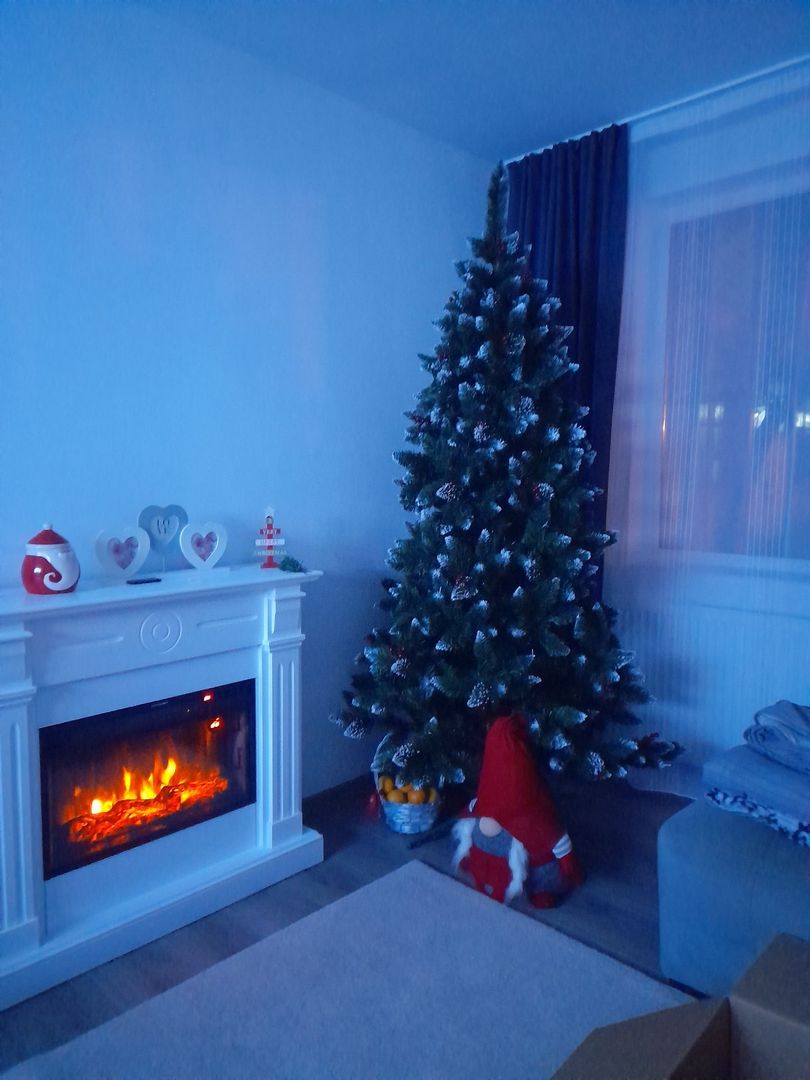 Vanzare apartament 4 camere decomandat, 85 mp, 2 băi, parter, Gorjului - Poză 4
