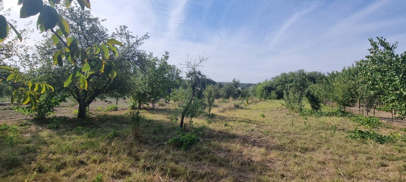 Teren 2000 mp de vânzare – Comana, deschidere la lac, aproape de Parcu - Poză 3